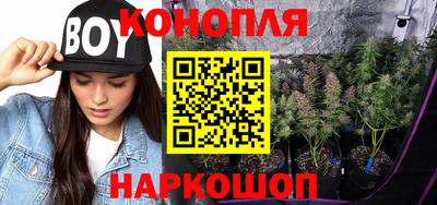 гашик Владивосток