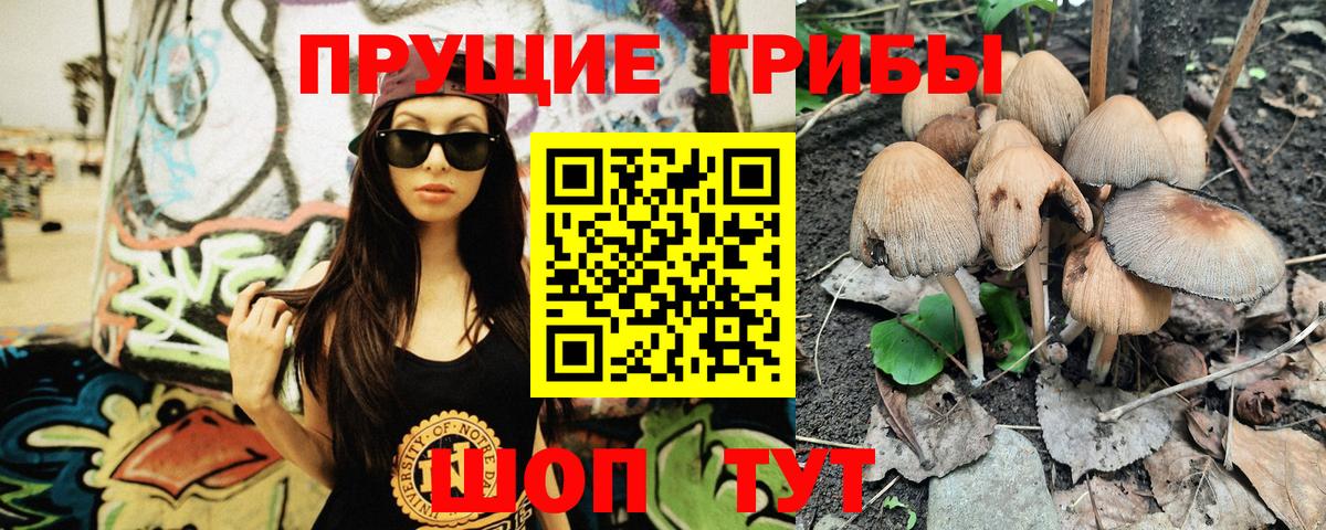 Галлюциногенные грибы ЛСД  Вход с VPN  Керчь 