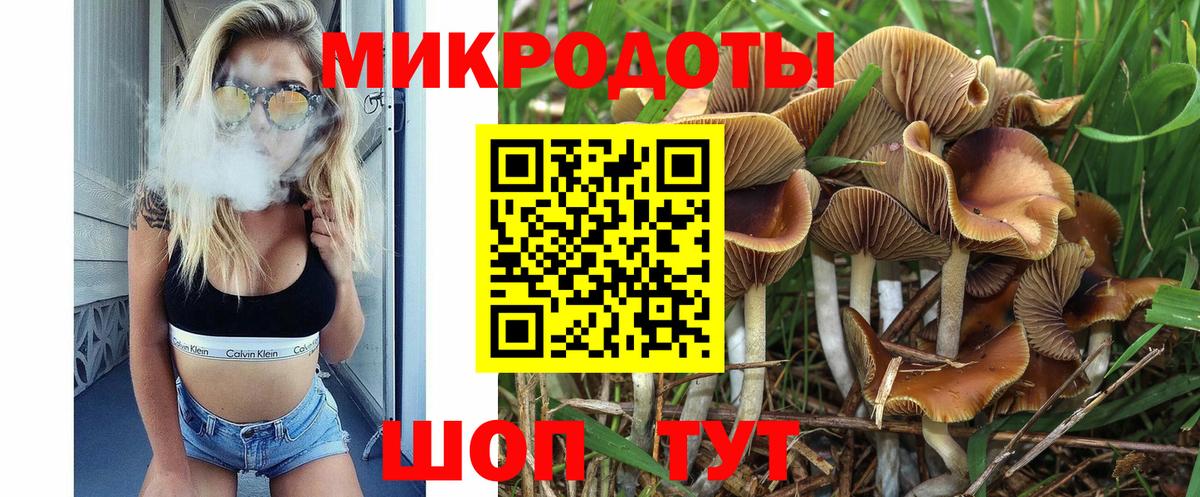 Галлюциногенные грибы Cubensis Керчь