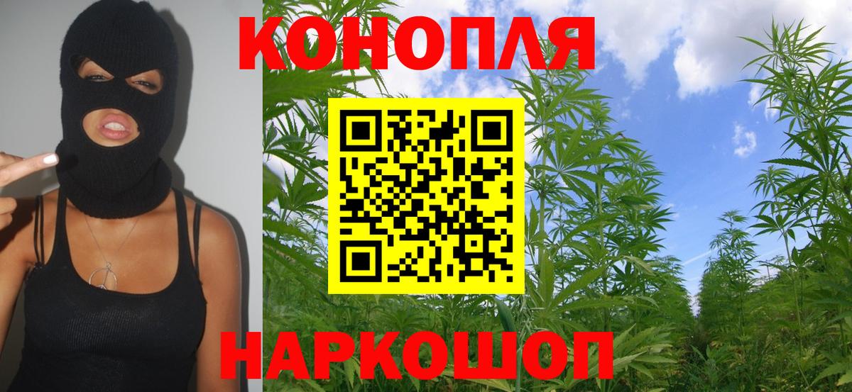 Бошки Шишки гибрид  Вход с VPN  Керчь  Канабис AK-47 